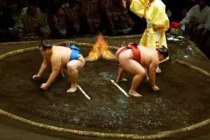 20 Foto atlet sumo kocak ini pasti bikin kamu ketawa lepas