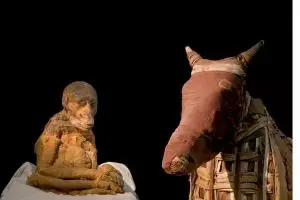 13 Foto mumi hewan ini bikin kamu bertanya-tanya misteri di baliknya