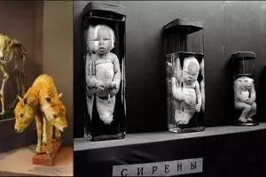 7 Museum ini unik banget, nomor 2 koleksinya bikin bulu kuduk berdiri!