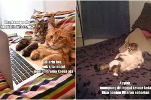 20  Kegiatan si pusy kalau sendirian di rumah, ada yang nonton Uttaran