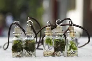 20 Taman dalam toples karya orang Jogja ini bakal bikin kagum banget!