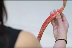 Suka beli barang dari kulit binatang? Video ini bakal bikin kamu kapok