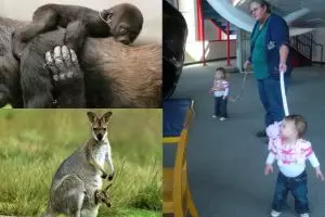 9 Foto beda cara hewan dan manusia mengasuh anak-anaknya