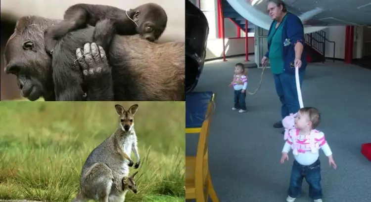 9 Foto beda cara hewan dan manusia mengasuh anak-anaknya