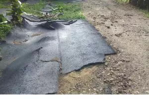 Aspal di  jalan ini bergeser tak beraturan, duh miris!