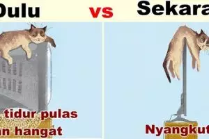 10 Meme lucu kelakuan kucing yang jadi korban teknologi, duh kasihan!
