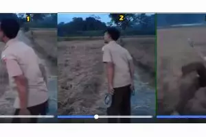 Kabari lulus pada ibu, siswa ini sampai terjatuh ke sawah, lucu...