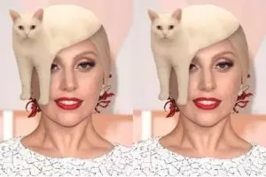 17 Editan foto kucing buatan netizen ini lucu deh!