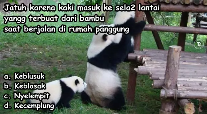 Tebak-tebakan bahasa Jawa © berbagai sumber Tebak-tebakan bahasa Jawa © berbagai sumber