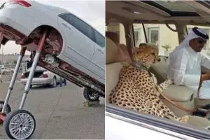 21 Aksi gokil orang dan mobilnya ini bikin geleng-geleng kepala,  duh!