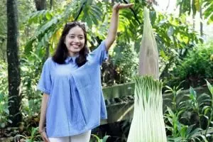 Koleksi bunga bangkai Rhenald Kasali mekar Senin, tertarik melihat?