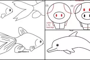 15 Cara mudah menggambar hewan ini bikin gemar melukis