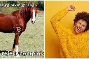 105 Tebak-tebakan lucu nama hewan ini bikin geregetan