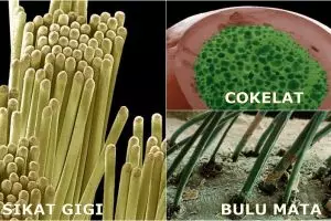 Pakai mikroskop, 15 benda 'sepele' ini jadi terlihat menakjubkan!