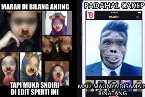 8 Meme sindir pengguna media sosial yang pakai filter hewan, kocak! 