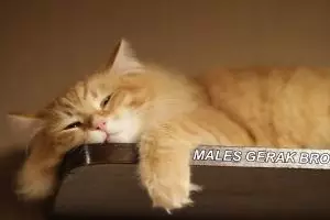 Kamu pemalas tapi pengen tetep sehat? Ini 9 cara mudahnya!