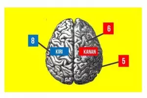 Kamu dominan otak kanan atau kiri? Yuk ketahui dengan tes semangka ini