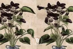 Jika kamu jago, coba tebak ada berapa wajah orang di gambar ini!