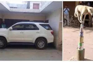 21 Foto paling aneh yang bikin kamu bertanya, 'kok bisa sih?'