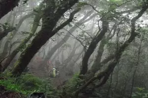 5 Kisah misteri gunung di Indonesia ini bikin kamu merinding!