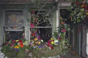 Penjual bunga ini hias rumah kosong, hasilnya bikin terpesona!