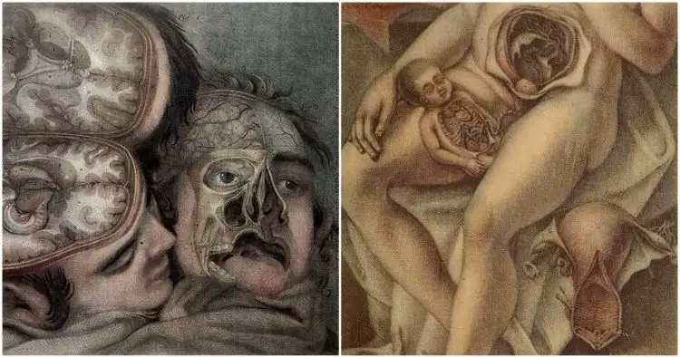 15 Ilustrasi anatomi tubuh manusia tahun 1700 ini sungguh mengerikan!