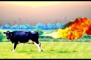 Nggak cuma bau, kentut bisa sebabkan pemanasan global lho, waduh!