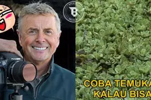 Asah kejelian matamu, temukan hewan bersembunyi dalam 11 foto ini!