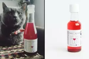Perusahaan ini menciptakan wine yang bisa diminum bersama kucing, kok?