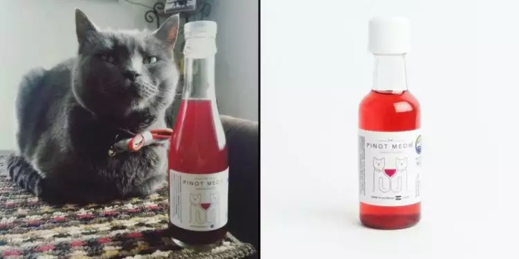 Perusahaan ini menciptakan wine yang bisa diminum bersama kucing, kok?