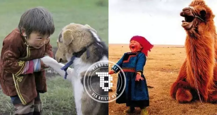 15 Foto bocah Mongolia bareng hewan ini bikin hatimu adem