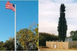 21 Desain tower seluler unik mirip banget sama pohon, bisa bedakan?