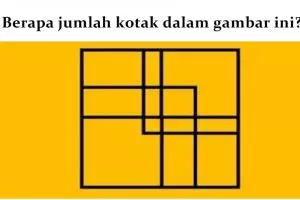 9 Dari 10 orang gagal menebak jumlah kotak di gambar ini, kamu bisa?