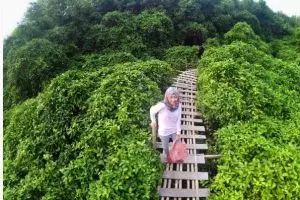 15 Foto liburan di Hutan Mangrove Kulonprogo, tempat hits baru Jogja