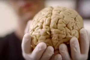 Pria ini kehilangan 90 persen otaknya tapi tetap hidup normal, ajaib!