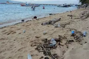 Duh, Taman Laut Bunaken makin kotor, sudah nggak nyaman lagi!