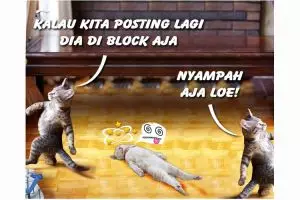 Komik kucing 'numpang lewat' ini bikin senyum-senyum sendiri