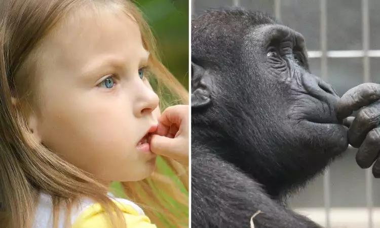 15 Foto ini bukti hewan juga punya ekspresi wajah seperti anak-anak!