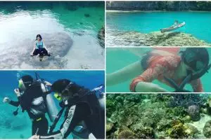Eloknya Pulau Labengki, diprediksi bakal jadi saingan Raja Ampat!