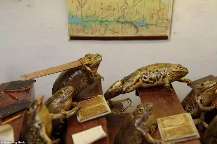 Museum katak ini tunjukkan miniatur bila katak jadi manusia!