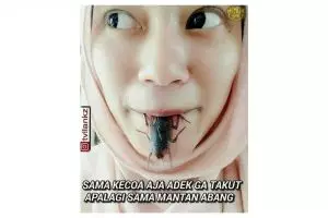 12 Meme 'takut kecoak' ini bikin kamu nyengar-nyengir sendiri!