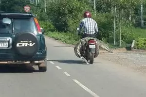 Orang ini bonceng buaya di sepeda motor, duh santai banget! 