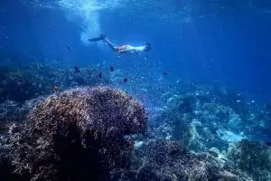 12 Potret keindahan Pulau Moyo, tempat Putri Diana hindari paparazzi!