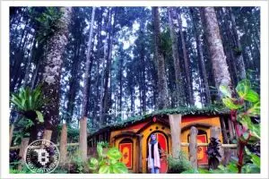 Nggak hanya di Bandung, rumah ala 'The Hobbit' juga ada di Purbalingga