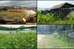 10 Stadion sepak bola ini kondisinya miris, tiga ada di Indonesia