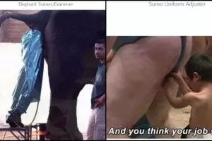 Lagi, 10 profesi ini aneh banget, bikin kamu mikir-mikir kerja begitu!