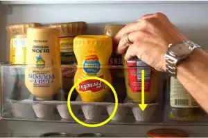 10 Tips cerdas menata isi kulkas agar higienis & muat lebih banyak!