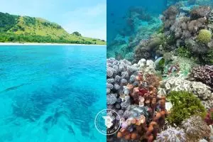 17 Foto ini buktikan ada 'surga' tersembunyi di Pulau Alor, top banget