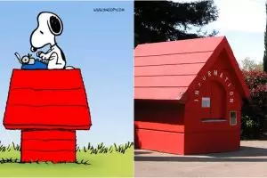 13 Rumah ini desainnya terinspirasi dari film populer