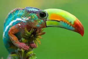 21 Hewan hibrida ini dijamin bikin kamu merinding, serem ya